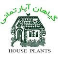 گیاهان آپارتمانی House Plants