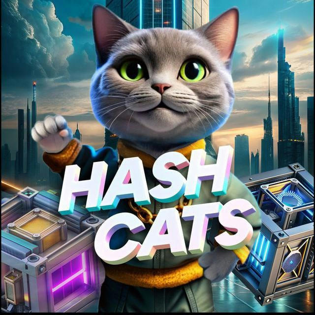 HashCats Combo | HashCats Bot Combo |Hash Cats Bot combo | Hash CatsDaily combo Hashcat |کامبو روزانه