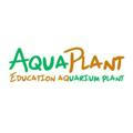 Aqua plant