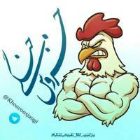 🐓 خروس جنگی🎃