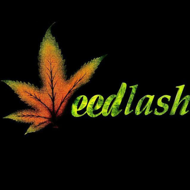 ویدلش | weedlashiha