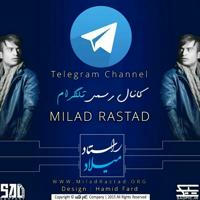 Milad Rastad Official