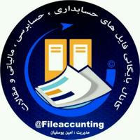 بایگانی فایل های حسابداری ، حسابرسی و مالیاتی