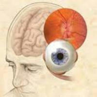 Neuro-Ophthalmology Books Channel