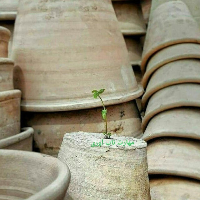 کانال روان‌شناسى🕊