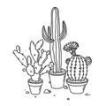 •Cactus،🌵🌸'