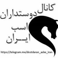 کانال دوستداران اسب ایران
