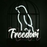 ‌‌Freedom