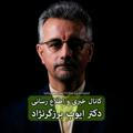 کانال خبری دکتر برزگرنژاد