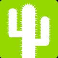 Cactus sara(shahvarcactus)
