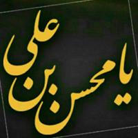 قناة محسن فاطمة 🔸عليهما السلام 🔸