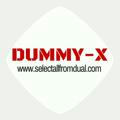 Dummy-X: Guide di informatica, Linux, Ubuntu, Windows, Android, sviluppo software, Wordpress