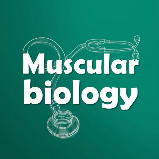 Muscular biology 🦾