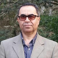 Reza Alijani