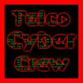 Telco Cyber Crew