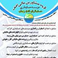 موسسه مالی حسابگران افق زنجان