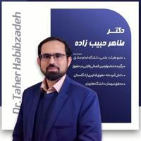 دکتر طاهر حبیب زاده🌱پژوهشگر حقوق؛ بنیادین زبان