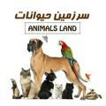 Animalsland.petshop