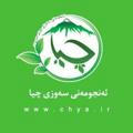 انجمن سبز چیا