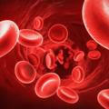 کانال تخصصی طب انتقال خون