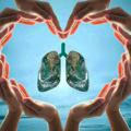 Respiratory Care Profession