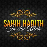 Sahih Hadith (In sha Allah)