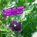 جرعة أمل [A dose of hope]