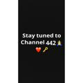 Channel442
