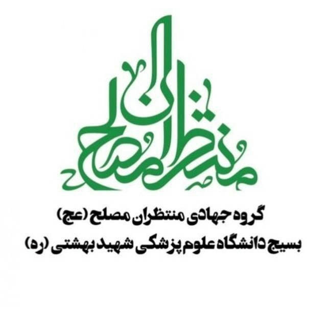 گروه جهادی منتظران مصلح (عج)