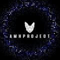 AMH PROJECT