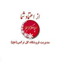 گل نرگس(عج)