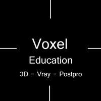 Voxel studios Learning
