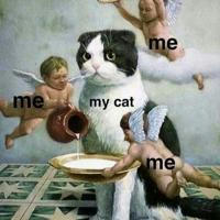 CAT LOVERS 🐾