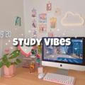 • STUDY VIBES •
