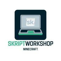 Skript Workshop