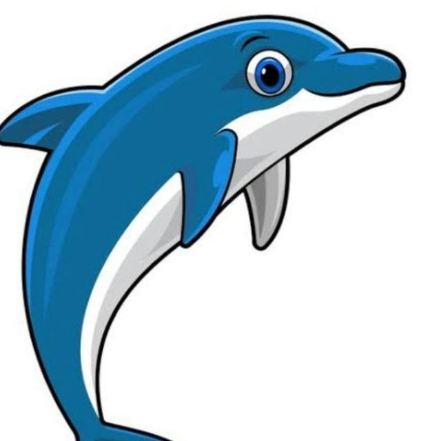 Dolphin Fx🐬