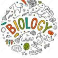 biology paper