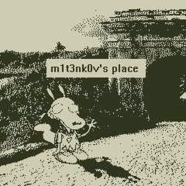 m1t3nk0v's place