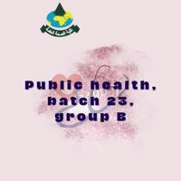 Second public Health Batch 23 ( Group B )