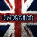 Английский 🇬🇧 5 слов в день