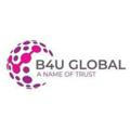 شركةB4u global للإستثمارات