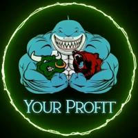 Your Profit 💰