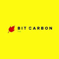 Bit carbon
