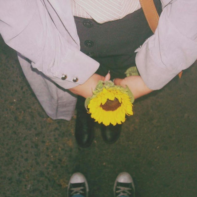 "•Sunflower"
