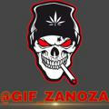 GIF_ ZANOZA