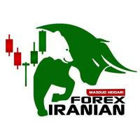 Forex free iranian