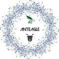 Anteagle Crypto and Exchange