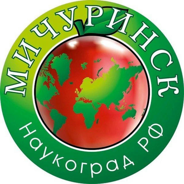 Город Мичуринск