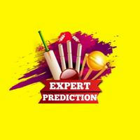 Expert Prediction 2011