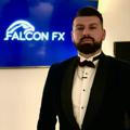 FALCON FX TRADING GUIDANCE